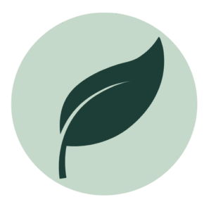 icône et logo djodjoho medecine traditionnelle benin et mediumnite voyance