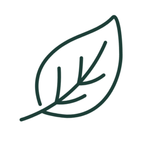 icône et logo djodjoho medecine traditionnelle benin et mediumnite voyance