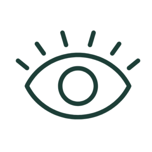 icône et logo djodjoho medecine traditionnelle benin et mediumnite voyance